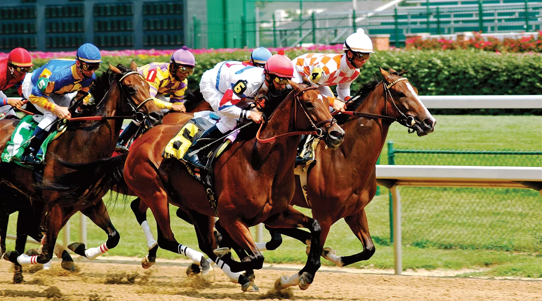Horses take off out of the gate at Churchill downs.
