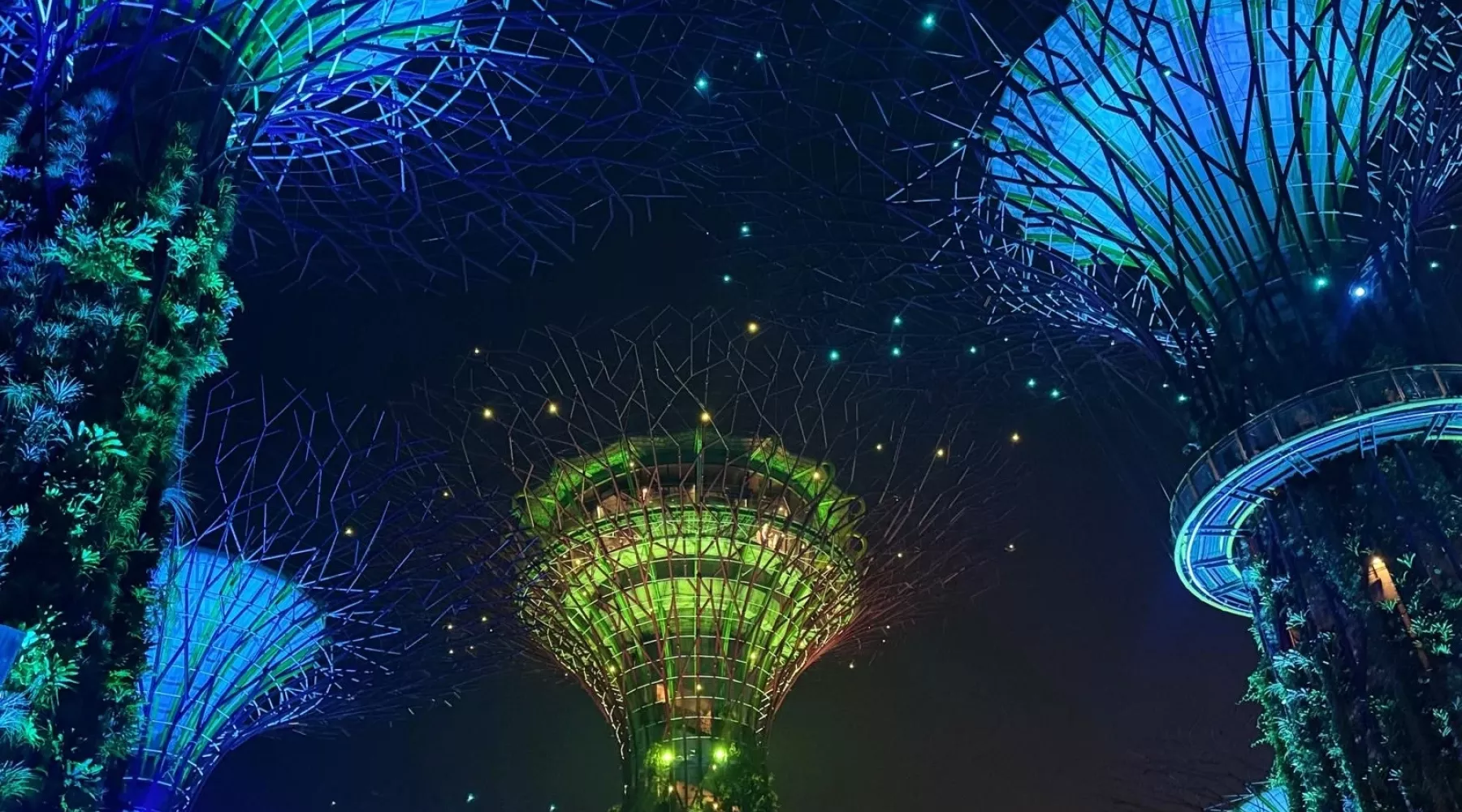 UofL College of Business Graduate International Trip in Vietnam and Singapore. Looking up at the Singapore gardens architecture at night as they light up the sky.