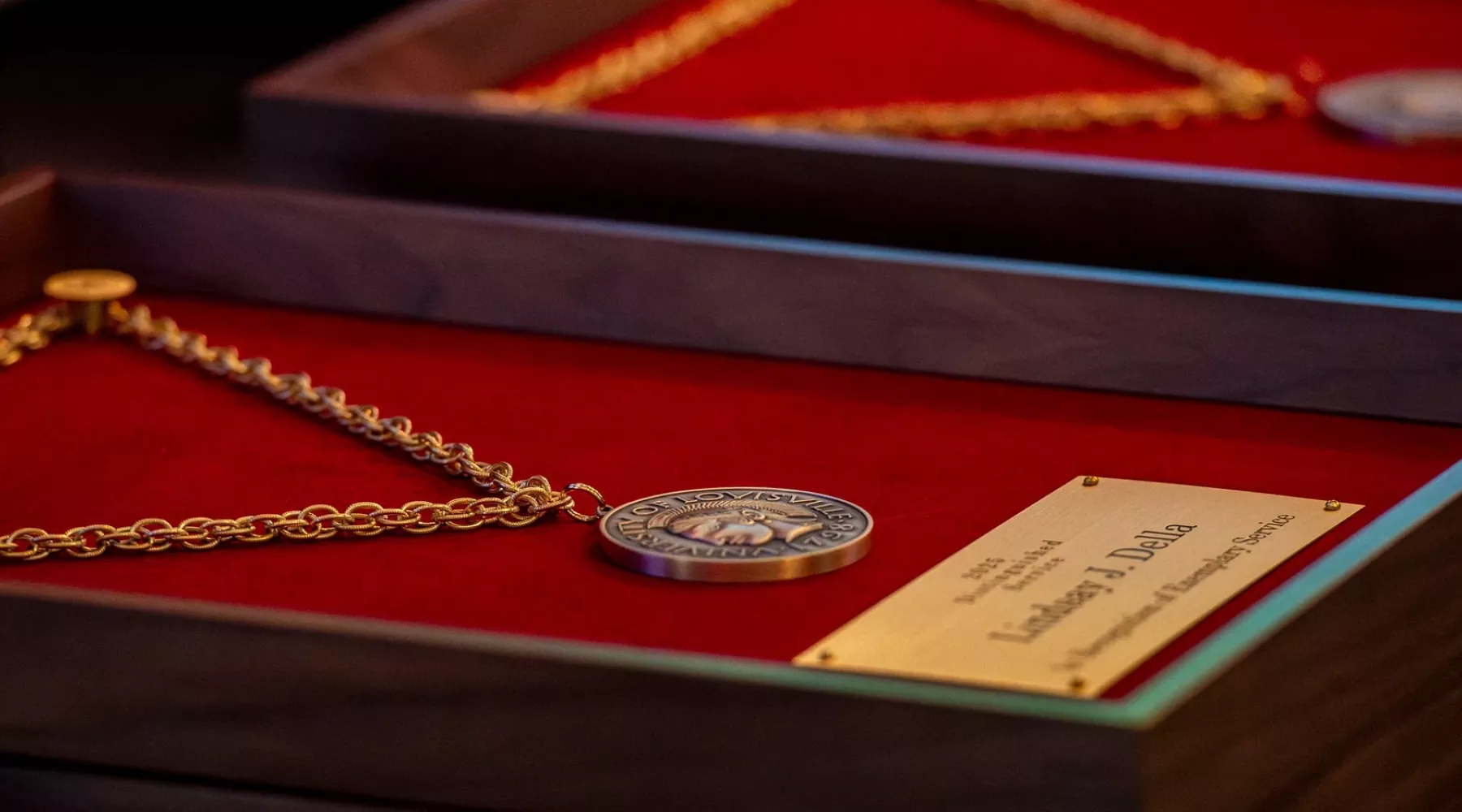 Award medal in frame